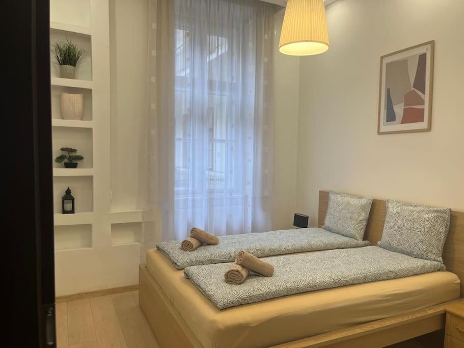 Szechenyi Renovated 2Br At Danube River Budapest Ngoại thất bức ảnh