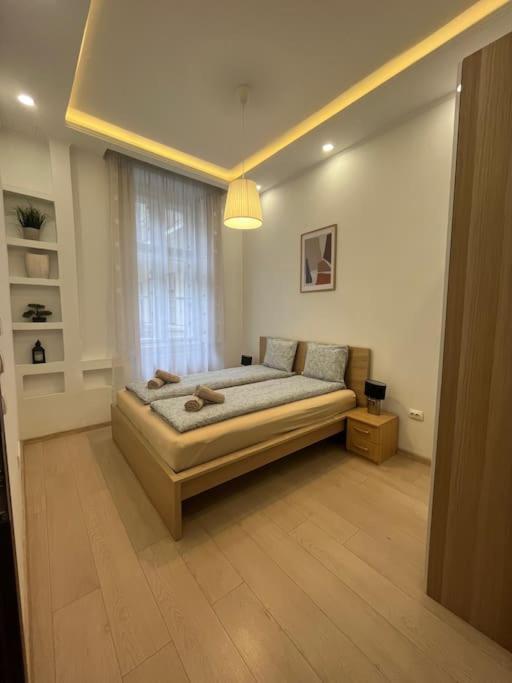 Szechenyi Renovated 2Br At Danube River Budapest Ngoại thất bức ảnh